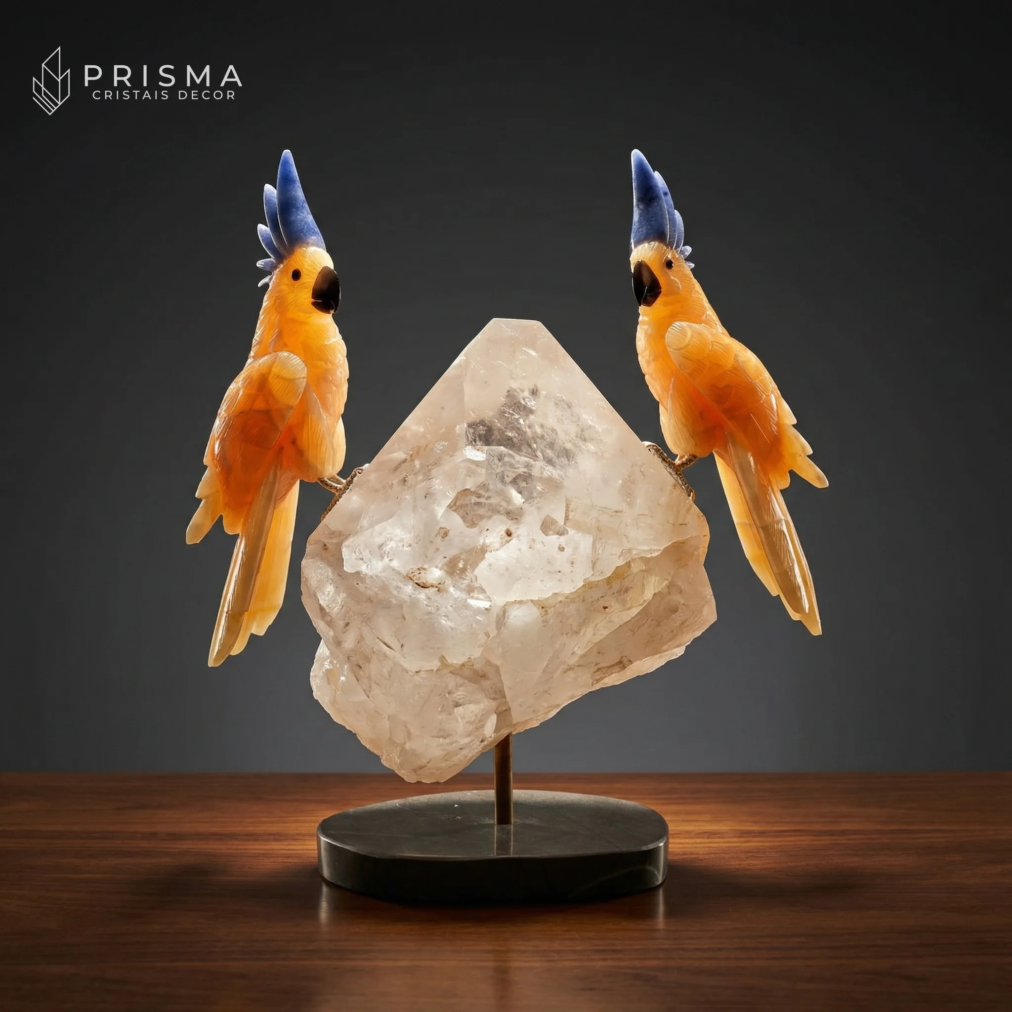 Cacatua Calcita Laranja Mexicana