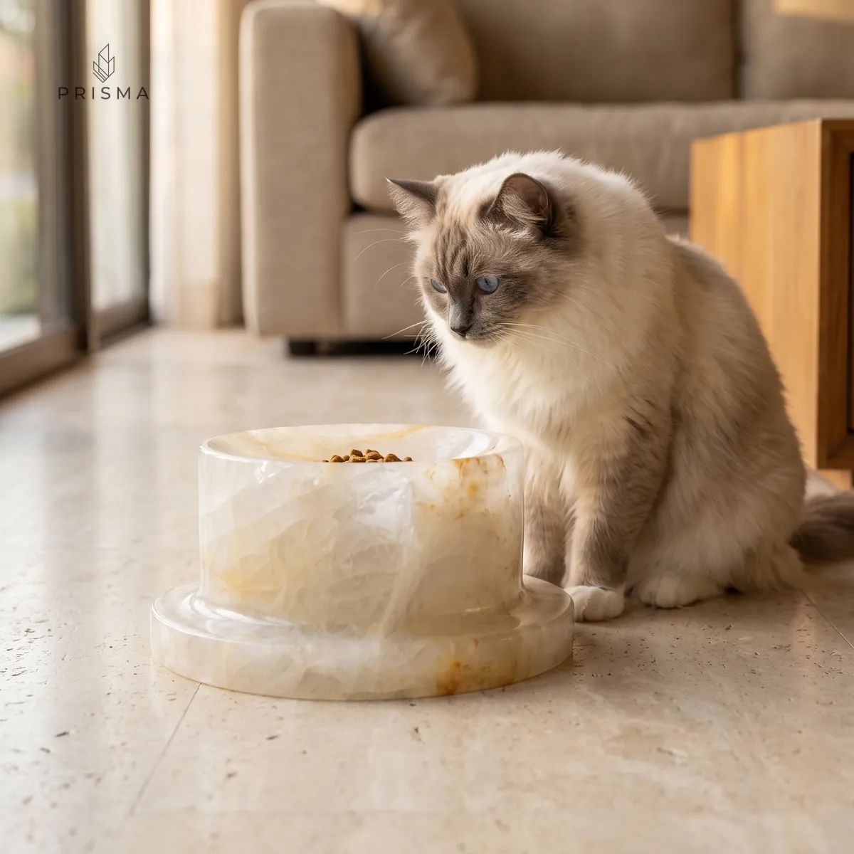 Gato Ragdoll sentado ao lado do comedouro de pedra em quartzo hematoide com ração, em sala de estar de alto padrão